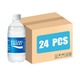 Pocari Sweat Ion Supply Sport Drink 350MLx24PCS