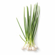City Farm Spring Onion 60G