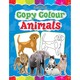 Copy Colour  - Animals