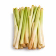 Reedmace (Pate Swal)