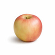Fuji Apple (S)