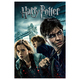 Harry Potter & Deathly Hallows (Author by J.K. Rowling)