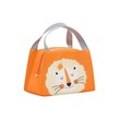 Thermal Lunch Box Bag Orange