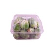 Brussel Sprouts 250G