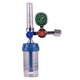 Regulator Flow Meter