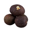 Hass Avocado (550-600G)