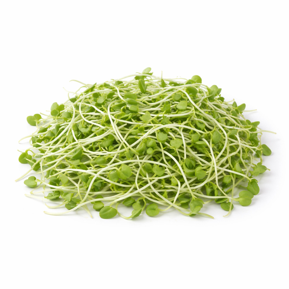 Organic Sunflower Sprouts 180G
