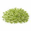 Organic Sunflower Sprouts 180G