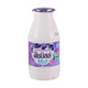 Dutch Mill Yoghurt Blueberry 100ML