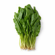 V Fresh Sorrel 200G