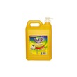 Ever Dishwashing Liquid (5L)