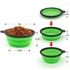 Gue Pet Travel Bowl Green