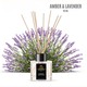 Royal Scent Reed Diffuser Lavender 50ML