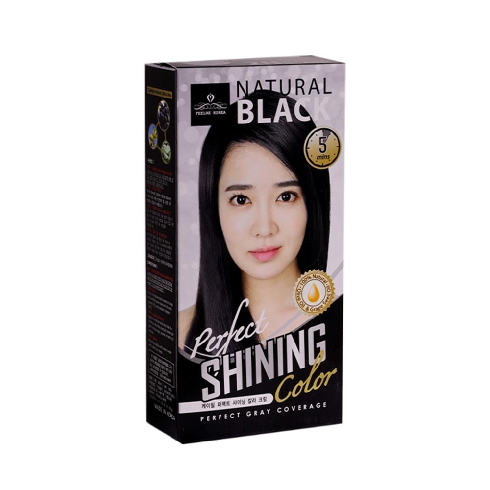 Feelre Korea Perfect Shining Hair Colour No(2N) Natural Black 60ML