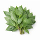 City Farm Sweet Basil 30G