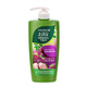 Follow Me Green Tea Condi Anti-Hair Fall 650ML