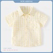 Boy Shirt B40018 Large (3 to 4) yrs