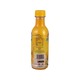 Asia Delight Mango Fruit Juice 250ML