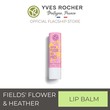 Yves Rocher Lip Balm Fields' Flower 4.8G Stick - 90294