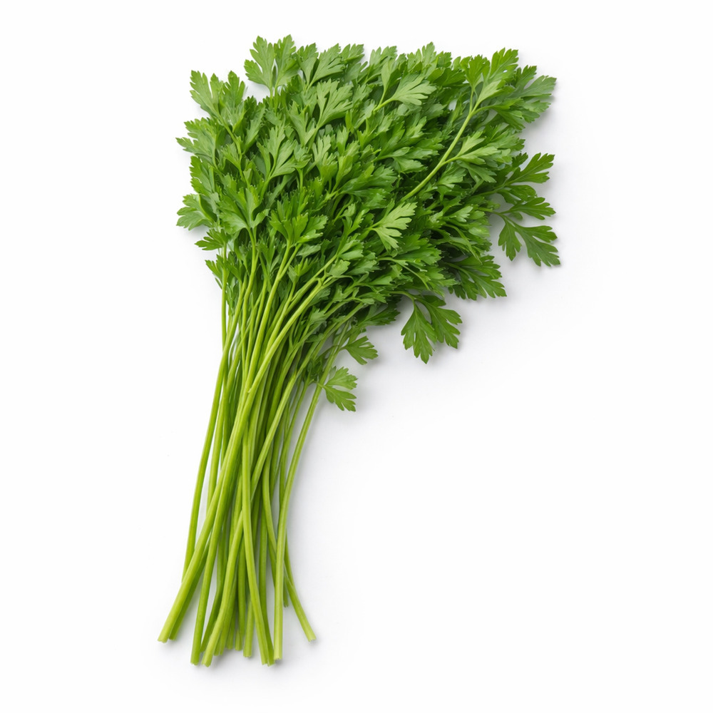 Fresco Flat Parsley 50G