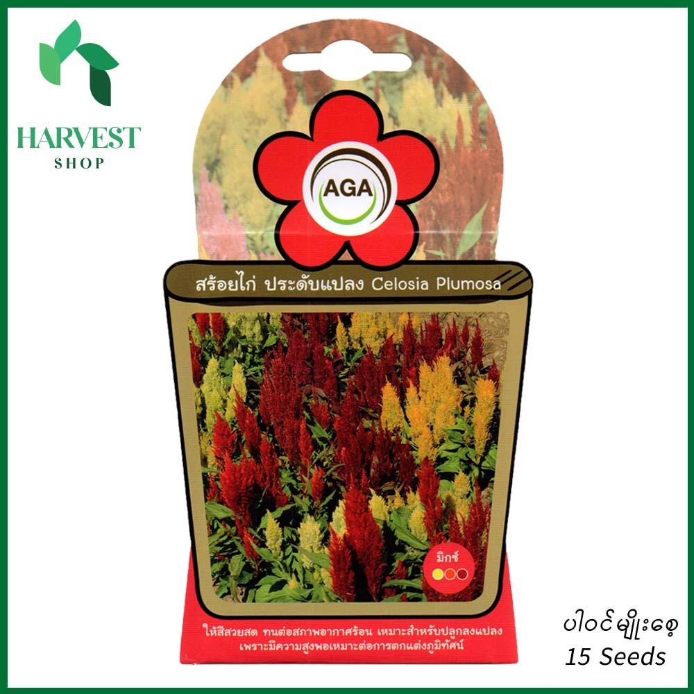 Harvest Shop ကြက်မောက်ပန်းအရှည်မျိုးစေ့ A 029