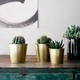 Ikea Daidai Plant Pot, Brass-Colour, 9 CM 503.594.02