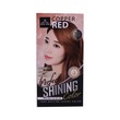 Feelre Korea Perfect Shining Color 60ML 4N