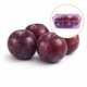 Damson Plum (Pack)