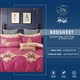 Egyption Bedsheet (EC) Bedding Accessories Single