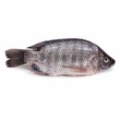 Fresh Tilapia Fish Whole (750G - 850G)