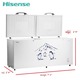 Hisense Chest Freezer FC-91DD4HA (701 Liter)