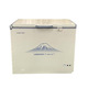 Samsonic Chest Freezer 158L BD-20H