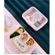Food Container Lunch Box 4 Comparment Light Pink