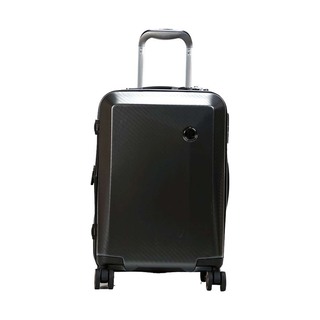It Luggage Confide Sandy Carbon Effect Large
