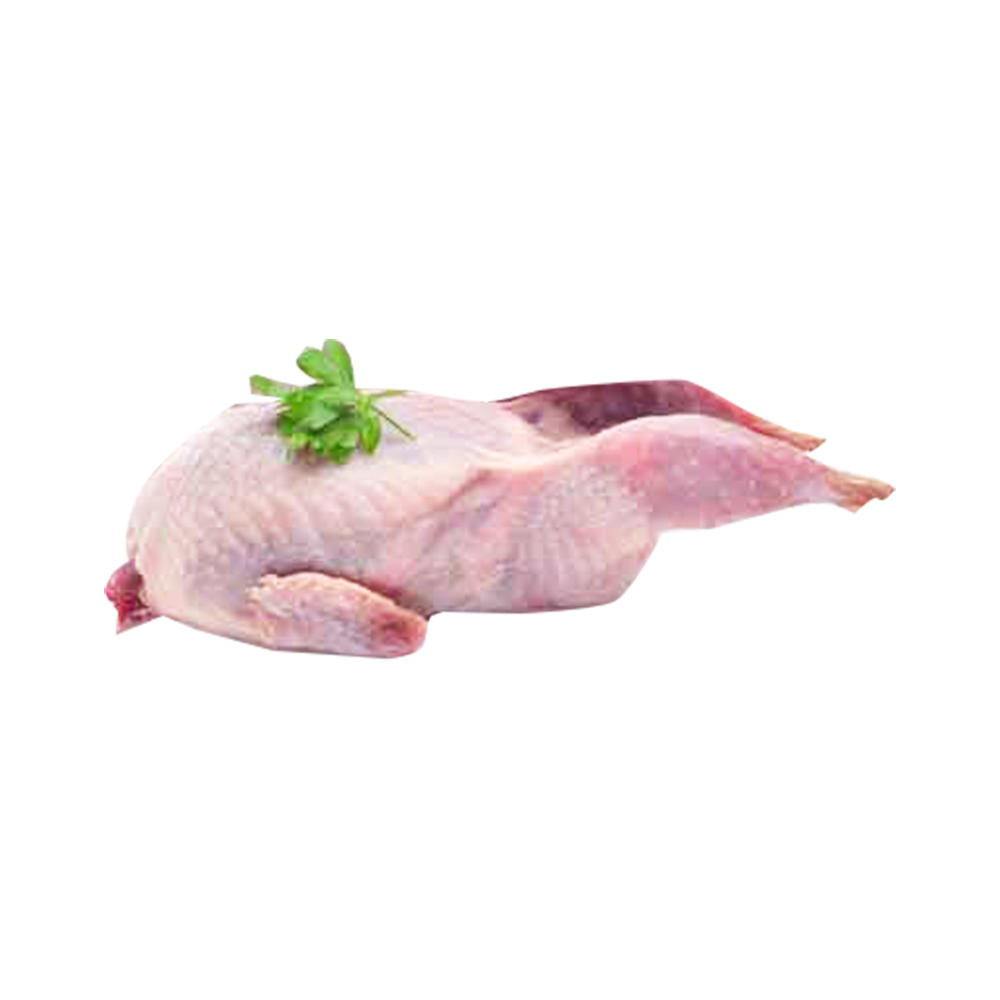 တောကြက်(MC)