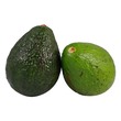 Myanmar Avocado (Pc)