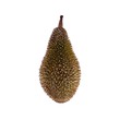 Myanmar Durian (M)