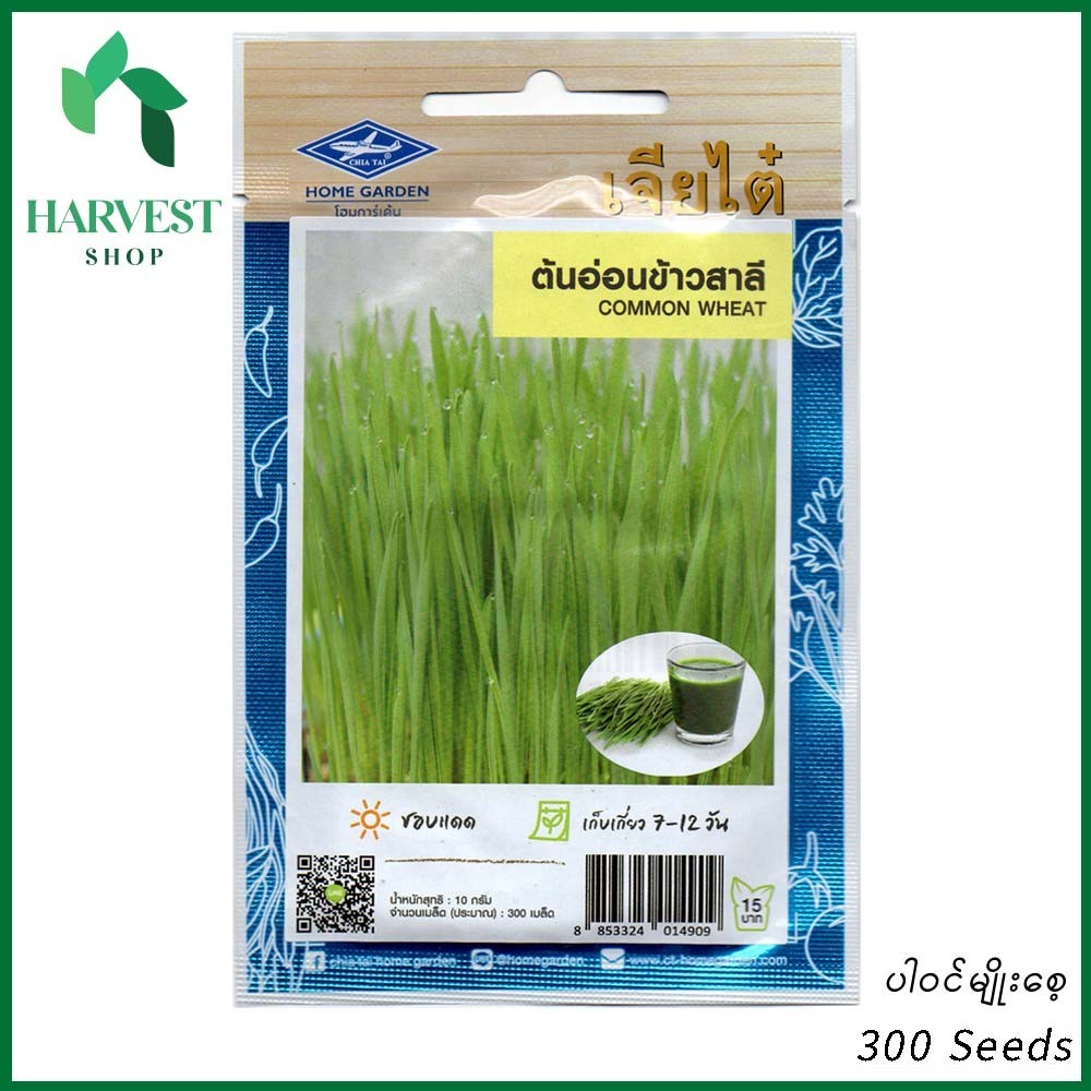 Harvest Shop ဂျုံမြက်မျိုးစေ့ SP 007