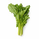 Kale 100G