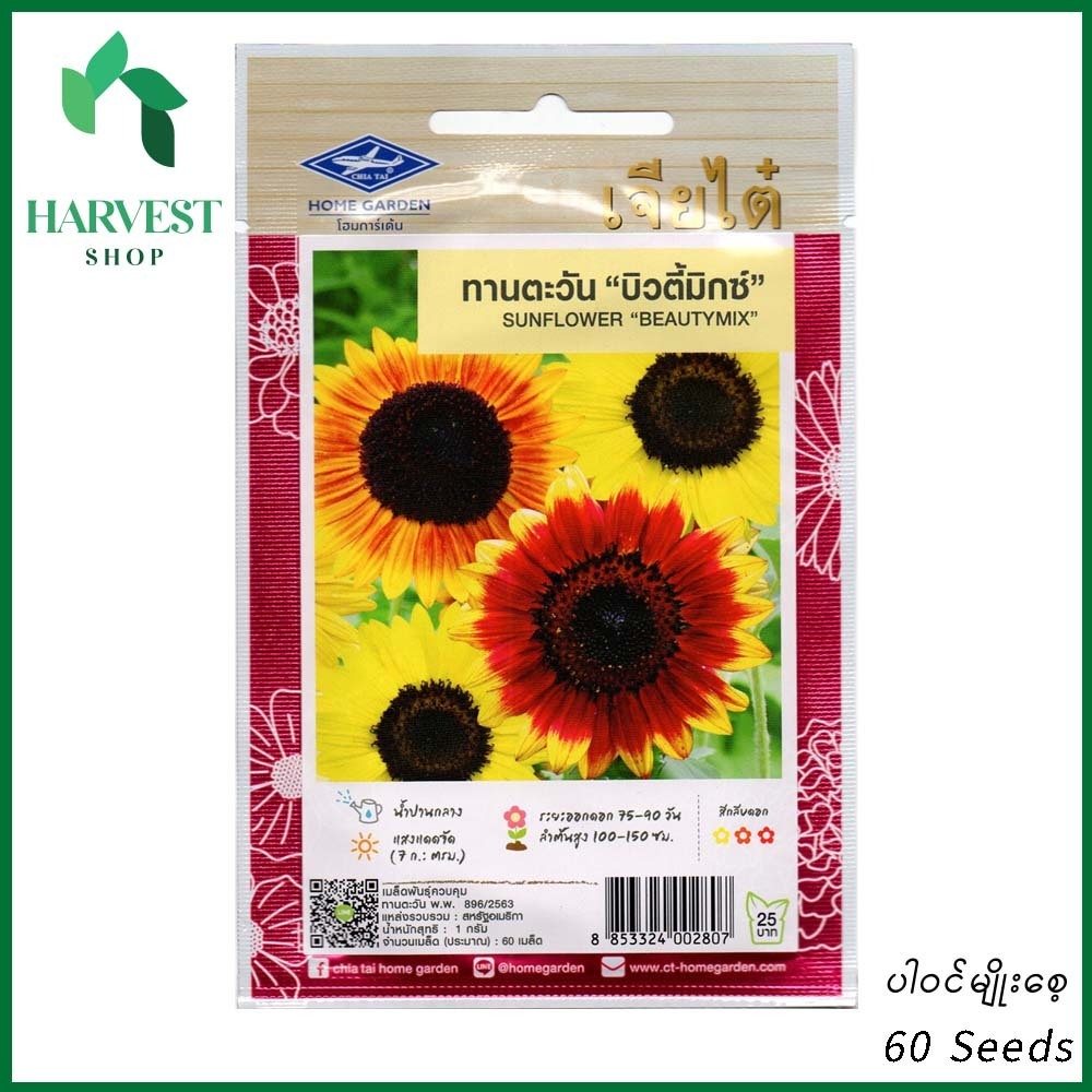 Harvest Shop နေကြာပန်း-အပွင့်လှစုံမျိုးစေ့ HF 011