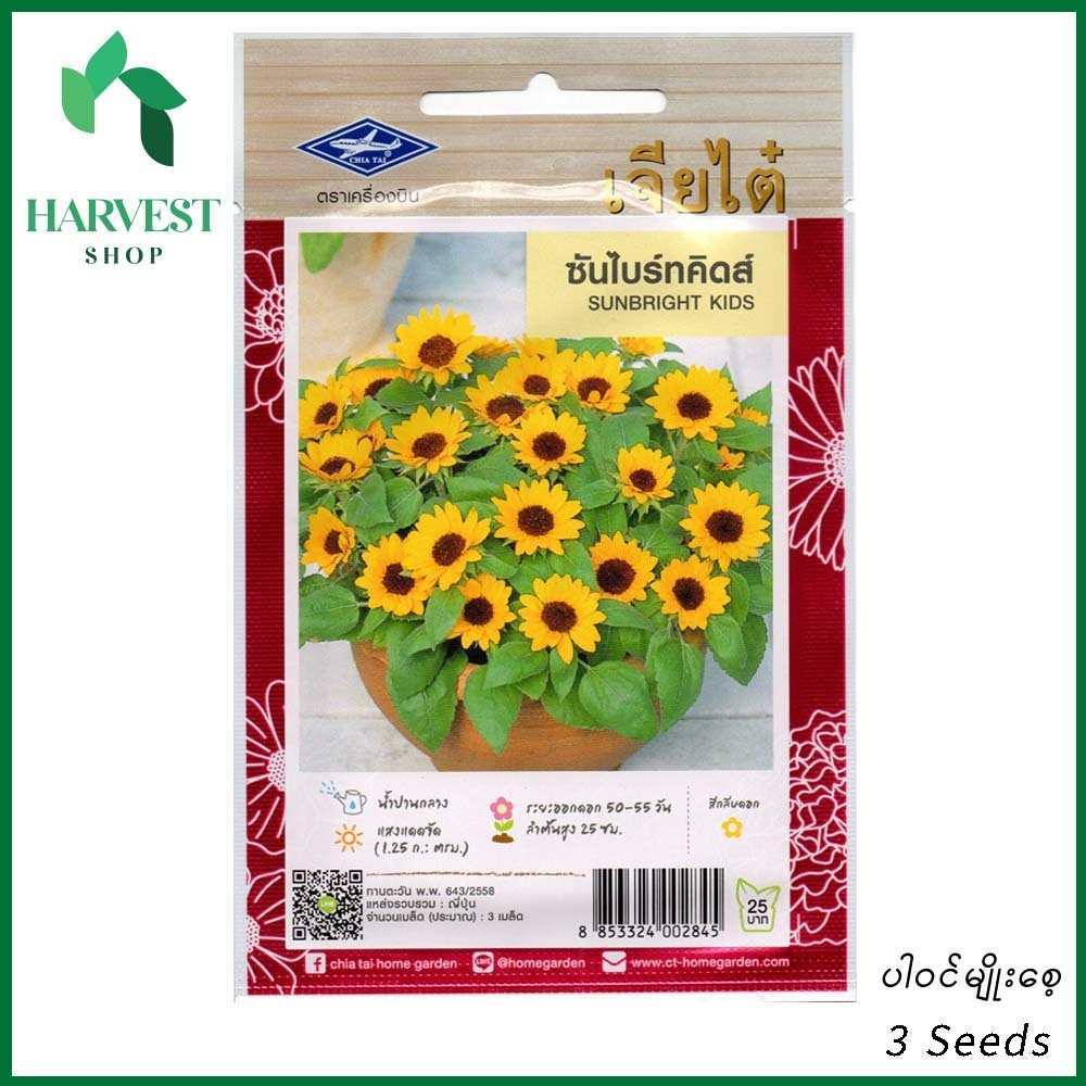 Harvest Shop နေကြာပန်းပင်ပုမျိုးစေ့ HF 012