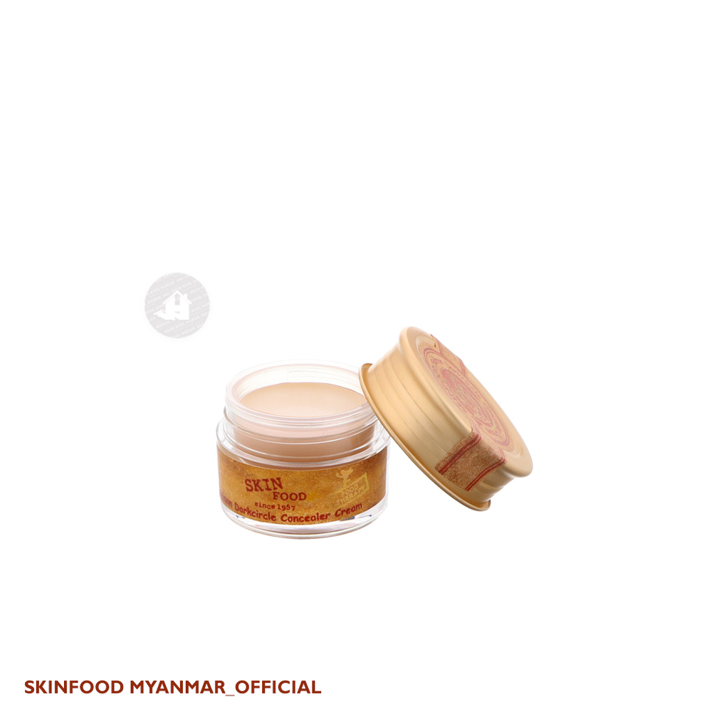 Skinfood Salmon Dark Circle Concealer Cream#2 1047-1