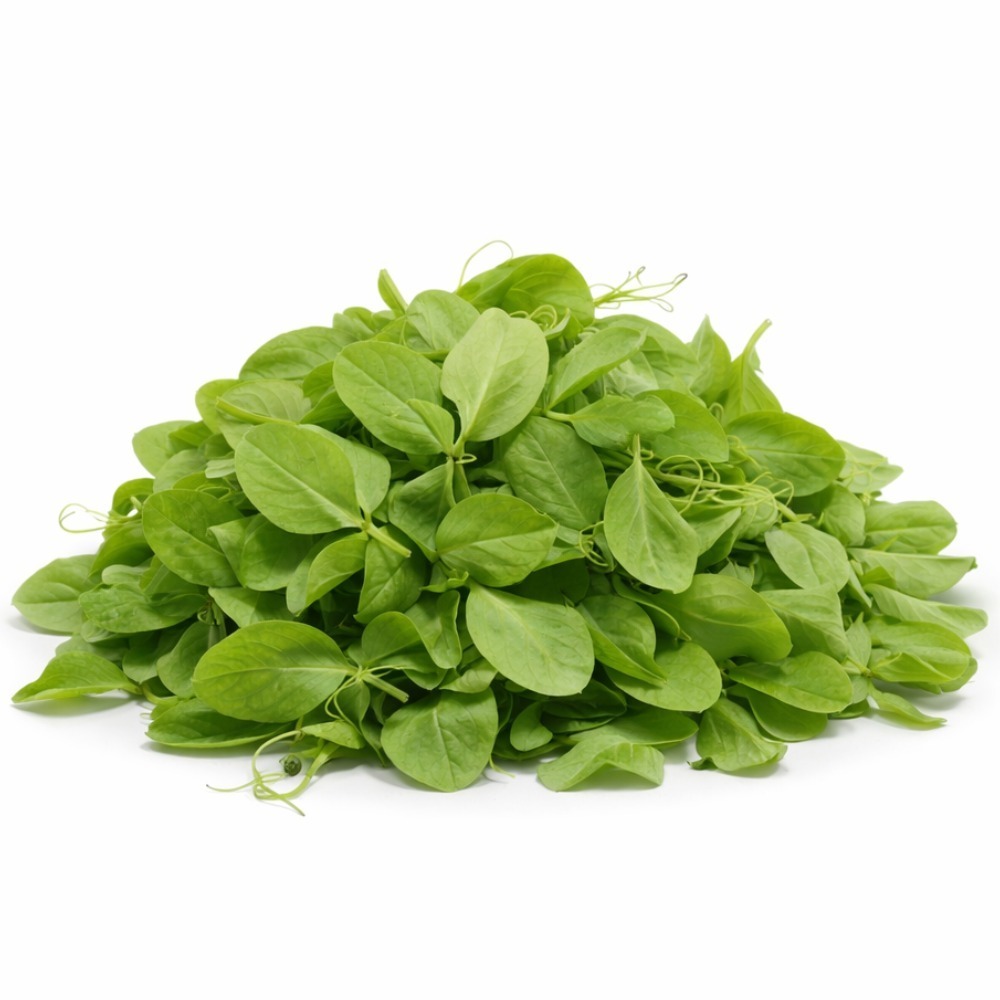 ရွှေပဲရွက် (၁ စည်း)