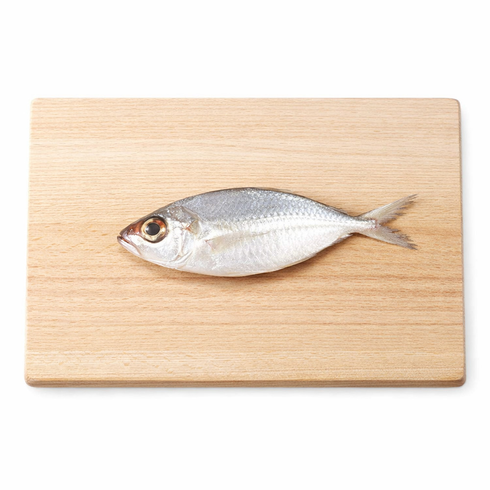 Fresh Palatoo Fish Whole